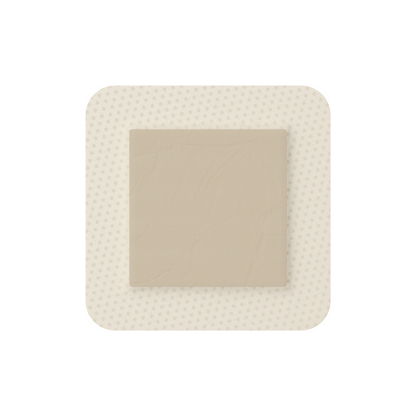 MEPILEX BORDER AG - ANTIMICROBIAL FOAM DRESSING
